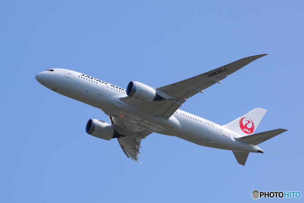 JAL JA835J