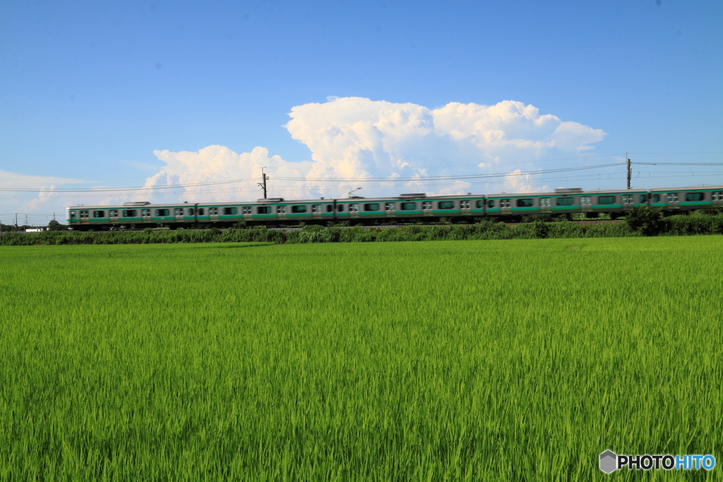 夏雲と成田線
