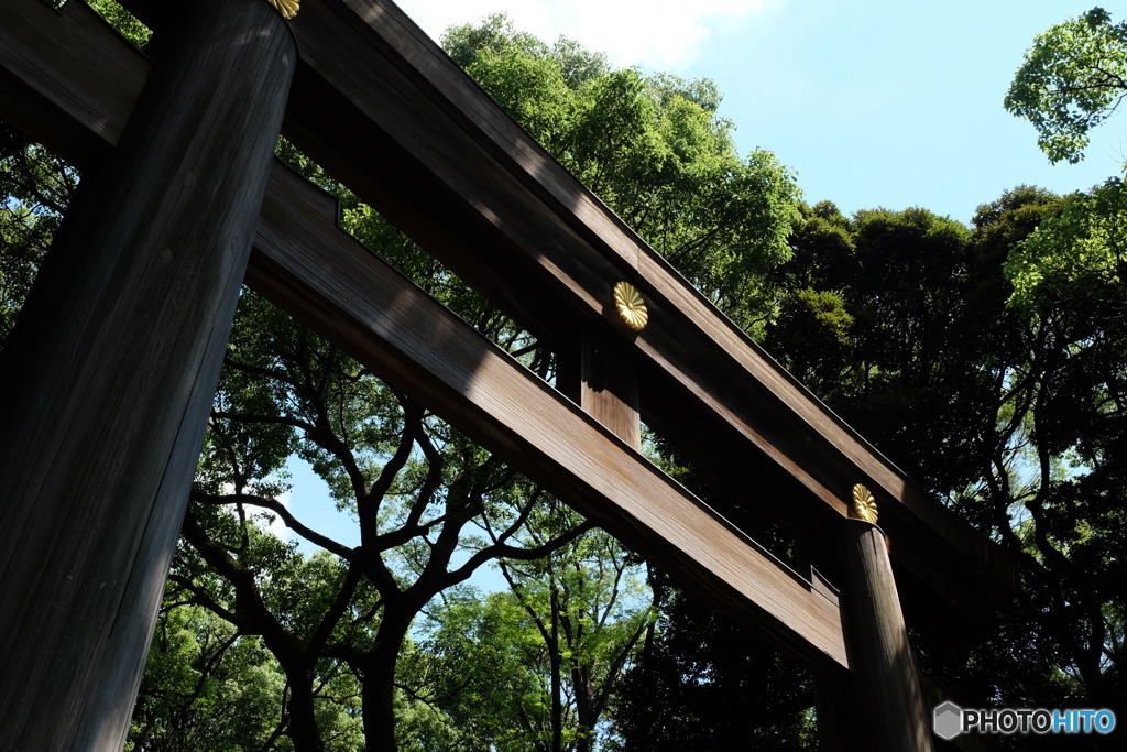 明治神宮 一の鳥居