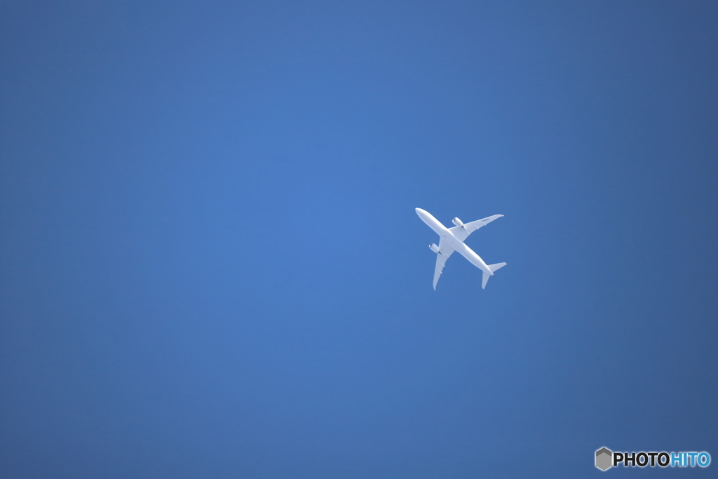 空の白鯨