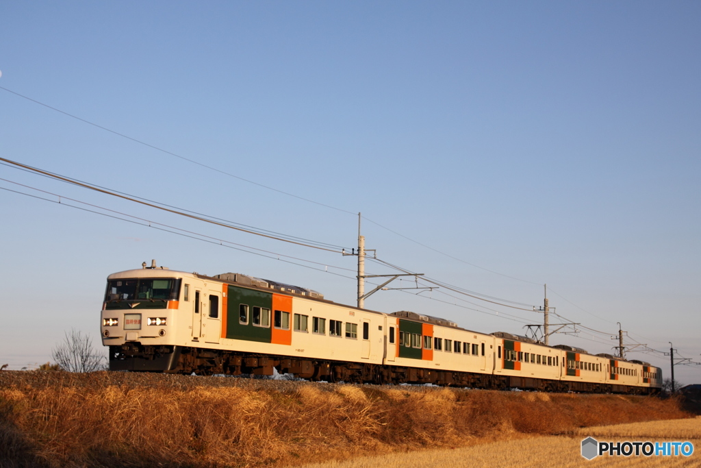 成田山初詣むさしの号