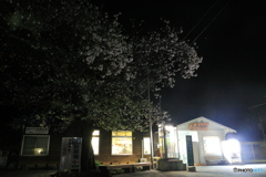 芦ノ牧温泉駅 夜桜