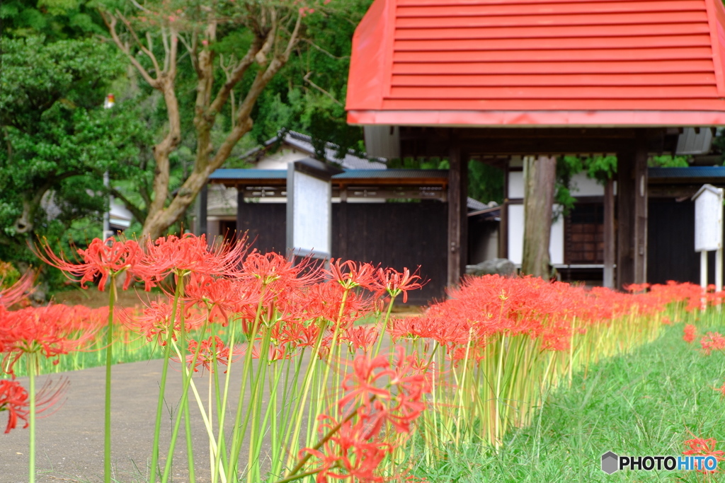 結縁寺山門