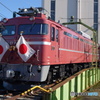 EF81 81