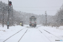 雪国列車