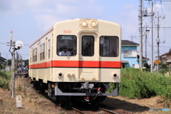 関東鉄道 竜ヶ崎線 入地-竜ヶ崎 キハ532形