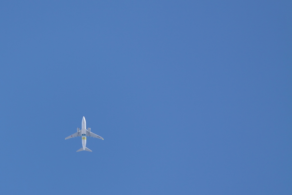 AIR DO in The Sky