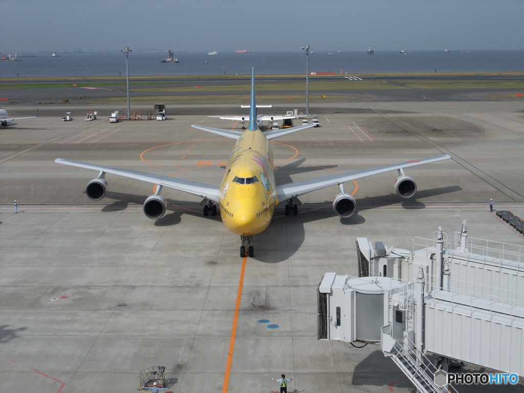 羽田空港 ピカチュウジャンボ