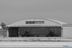 Alert Hangar