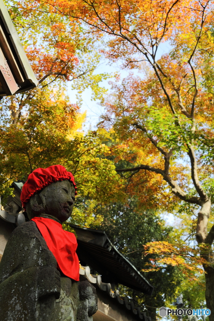 徳満寺 紅葉とお地蔵さま