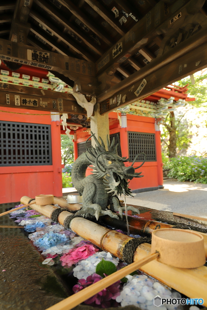 紫陽花手水