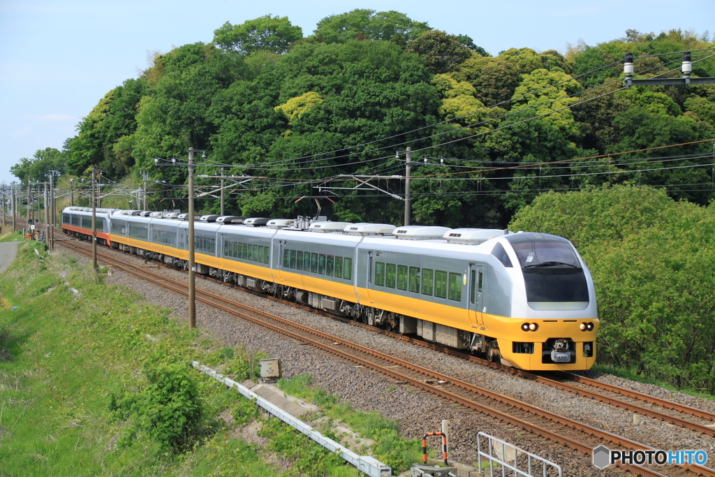 新緑の常磐線 E653系