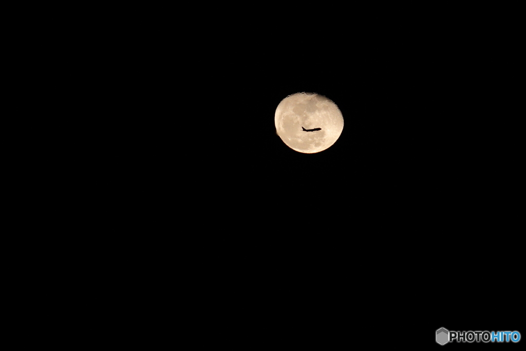 Moon Flight