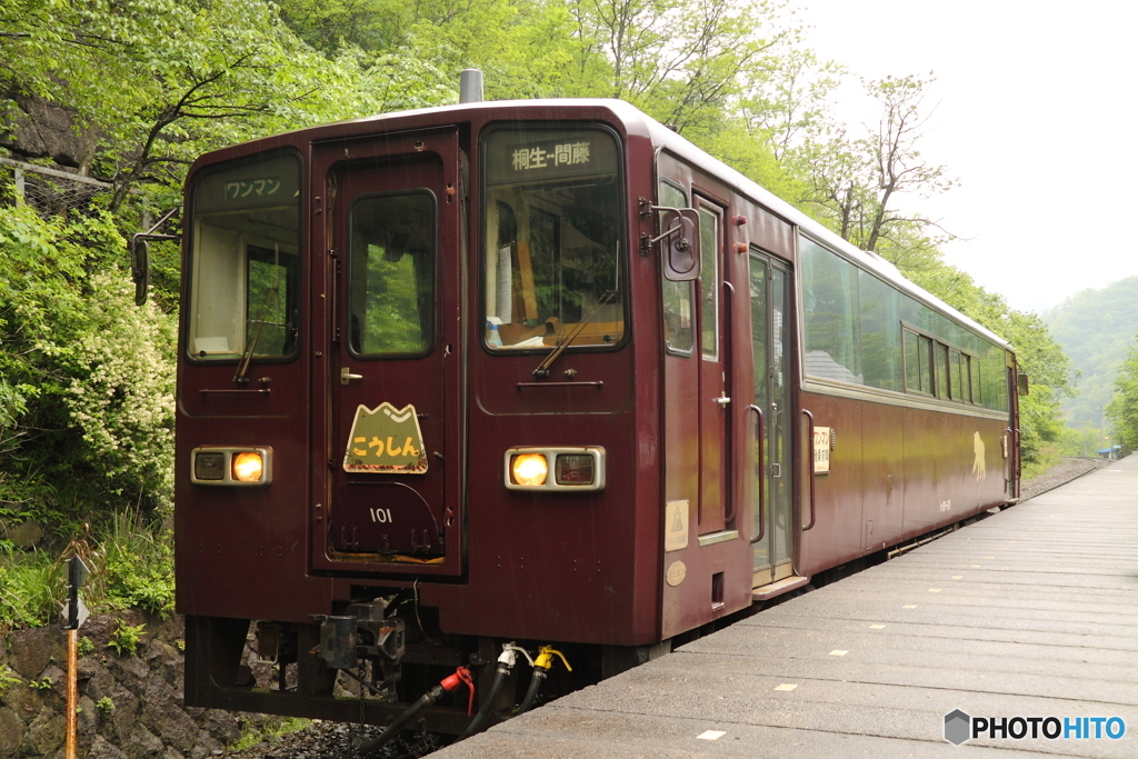 わたらせ渓谷鐵道 わ89-100形 101