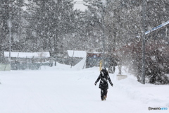 雪国の家路