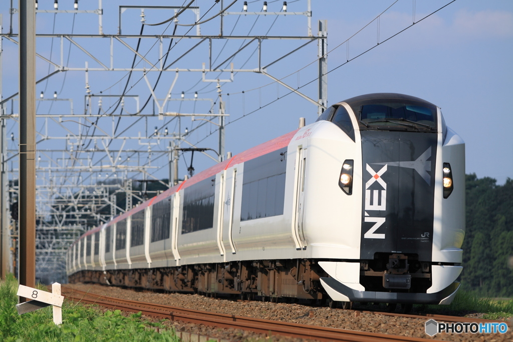 Narita Express