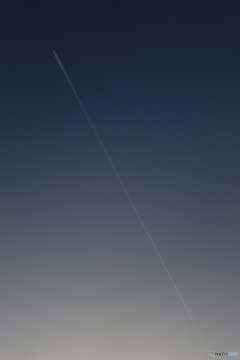 飛行機雲