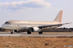 Asiana Airlines Airbus A320-232