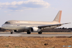 Asiana Airlines Airbus A320-232