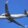 Skymark Airlines