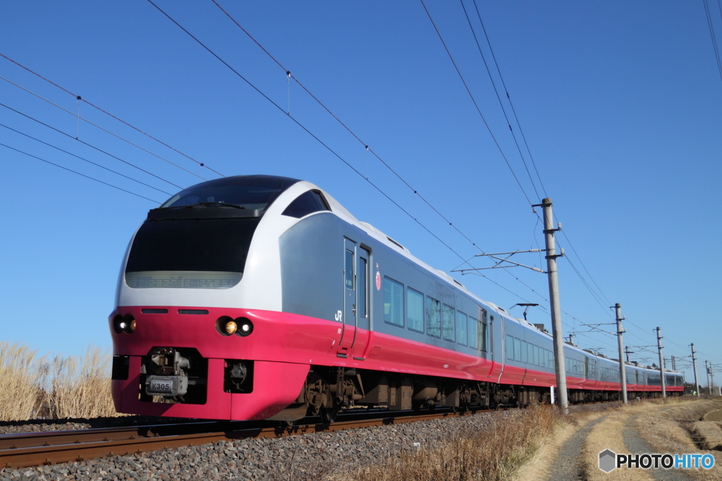 E653系 特急フレッシュひたち