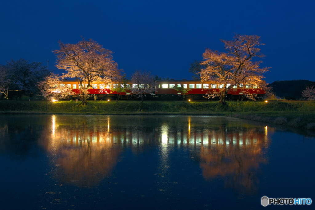 飯給夜桜 宵