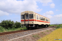 関東鉄道 竜ヶ崎線 キハ532形気動車