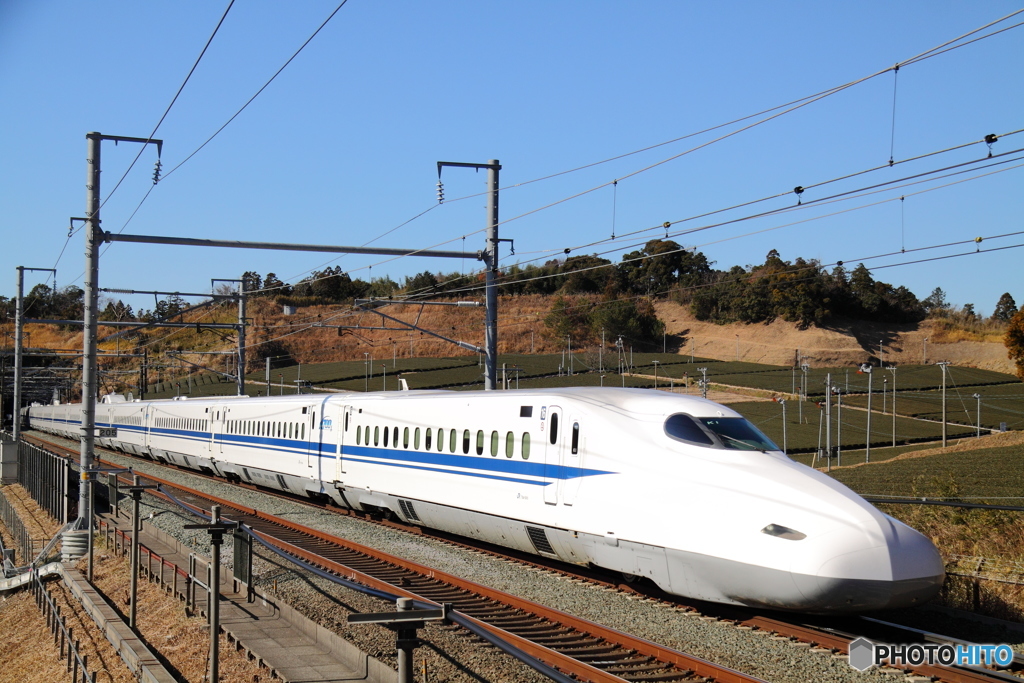 茶畑を往く新幹線N700系