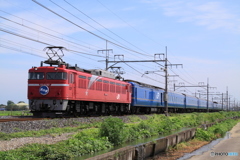 東北本線 東鷲宮-栗橋 寝台特急 北斗星