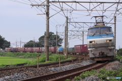 EF66 100番台 貨物列車