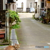 猫のいる街角