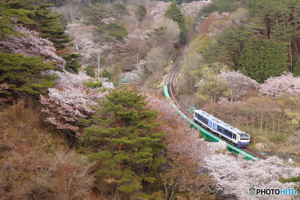 快速水郡線花回廊号