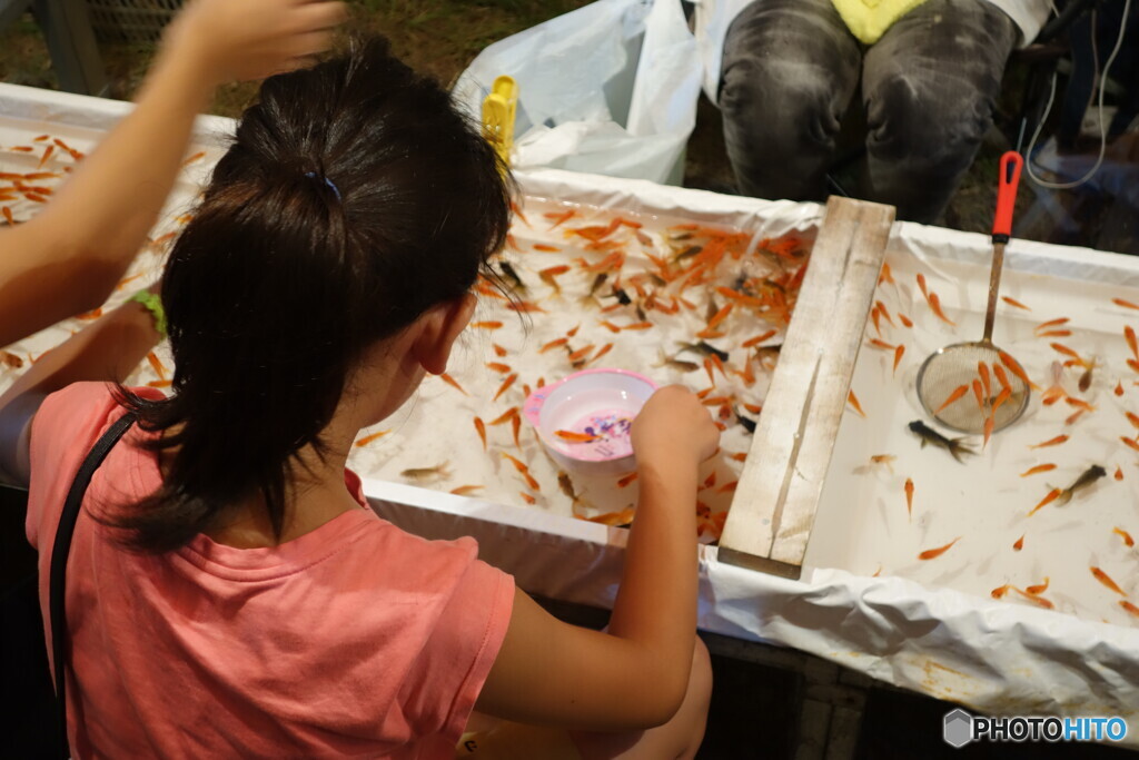 金魚すくい