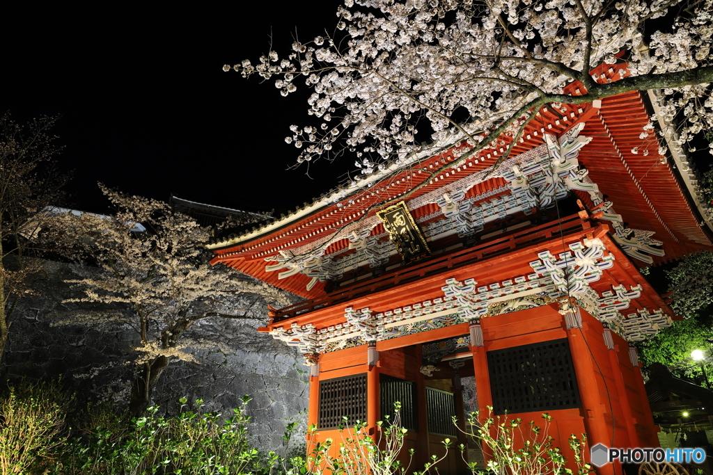 雨引観音 仁王門と桜