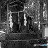 御岩神社 狛犬