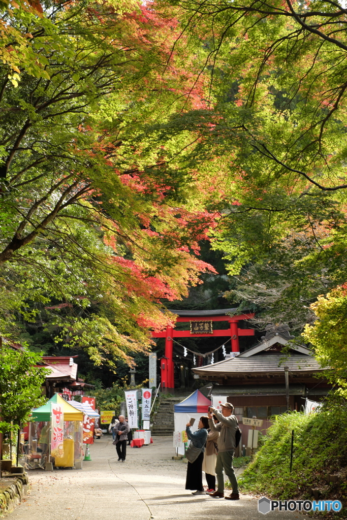 紅葉の神社
