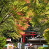 紅葉の神社