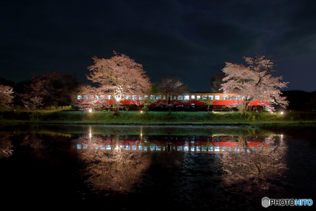 飯給夜桜2018