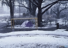 雪の沼田公園