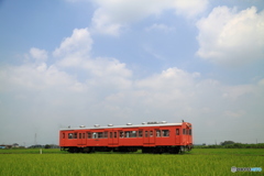 関東鉄道 常総線 キハ100形