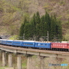 The Blue Train