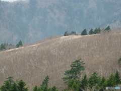 八方ヶ原の景色