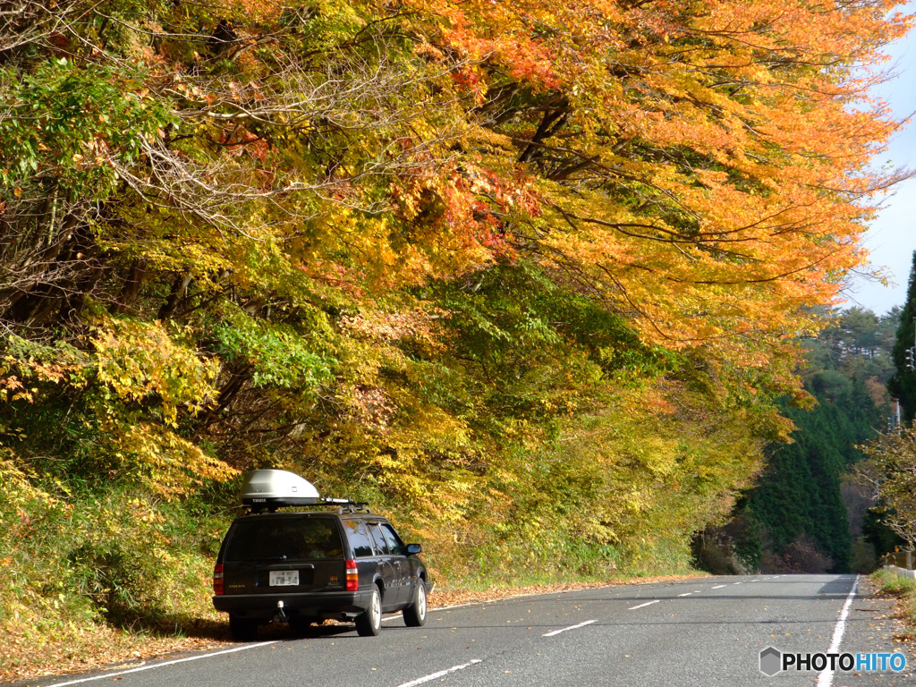 紅葉と愛車