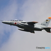 301SQ T-4