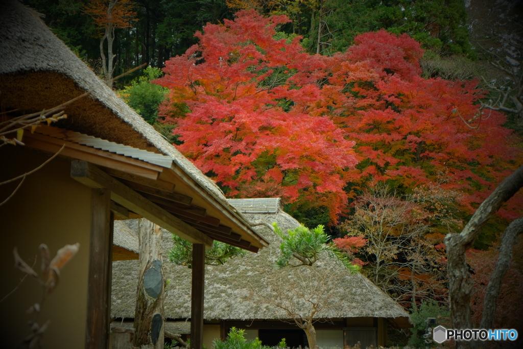 西山荘