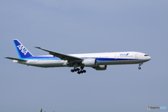 Nippon Airways Boeing 777-381/ER