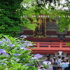 雨引観音 参道
