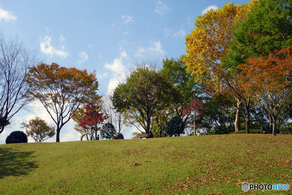 秋の公園