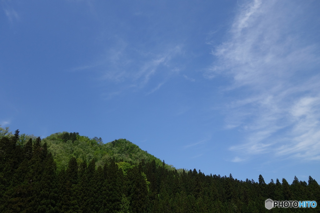山笑う