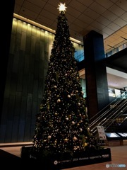 OOTEMORI Christmas tree